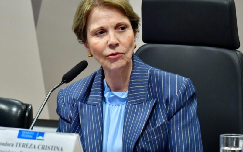 senadores exigem produtos importados devem seguir normas ambientais do brasil
