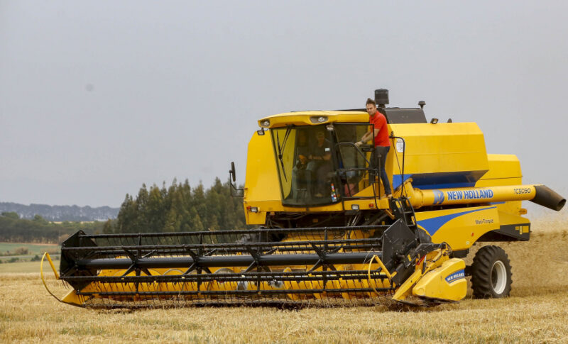 Setor agropecuário do Paraná paga 58% acima da média nacional e impulsiona carreiras mais rentáveis