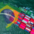 setor avicola brasileiro conquista mercados globais com exportacoes em alta