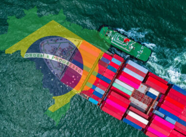 setor avicola brasileiro conquista mercados globais com exportacoes em alta