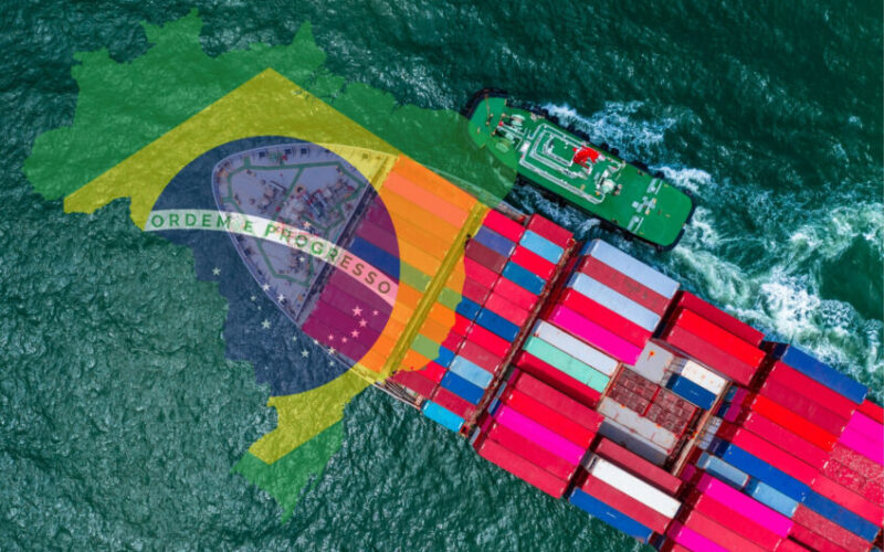 setor avicola brasileiro conquista mercados globais com exportacoes em alta