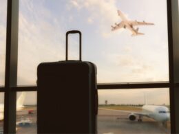 Sisbraip transforma a segurança alimentar nos aeroportos brasileiros, elevando a fiscalização agropecuária e protegendo a qualidade dos alimentos 27 sisbraip transforma a seguranca alimentar nos aeroportos brasileiros elevando a
