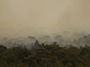sistema de monitoramento e alerta de queimadas auxilia na gestao