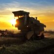 soja brasileira ganha destaque com retaliacao chinesa a produtos agricolas