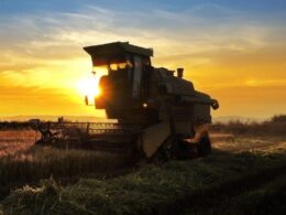 Soja brasileira ganha destaque com retaliação chinesa a produtos agrícolas dos EUA e abre novas oportunidades de mercado 22 soja brasileira ganha destaque com retaliacao chinesa a produtos agricolas