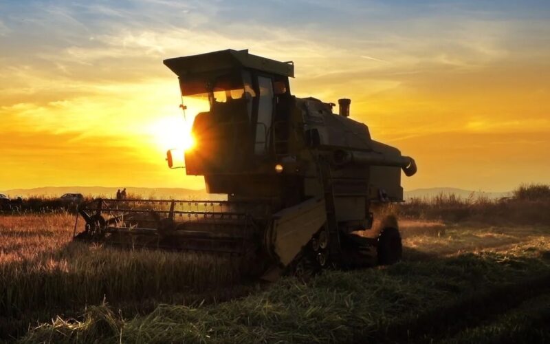 soja brasileira ganha destaque com retaliacao chinesa a produtos agricolas