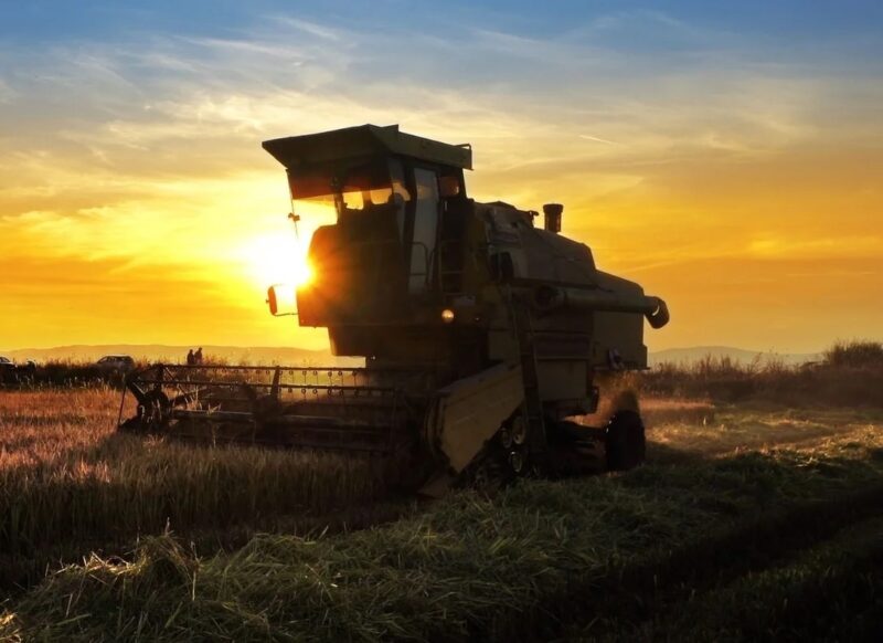 soja brasileira ganha destaque com retaliacao chinesa a produtos agricolas