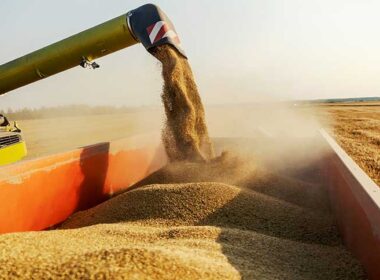 soja brasileira se destaca no mercado global com tarifa chinesa
