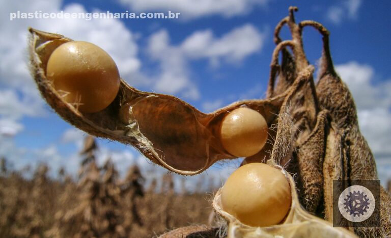 soja em alta como a colheita acelerada garantiu um recorde