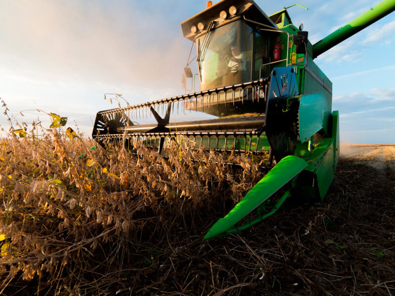 Soja em alta: oportunidades crescentes para investidores com dados promissores de safras e produção.