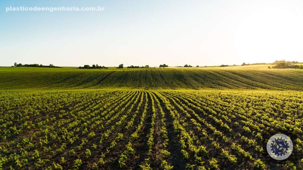 soja graos 24.03.2025 1