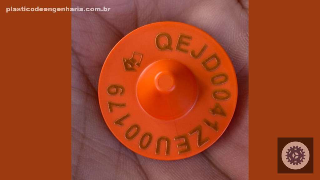 Imagem de Fabio Dias na Austrália