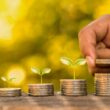 Startups do Agro impulsionam o crédito rural e transformam a vida no campo com soluções acessíveis e inovadoras