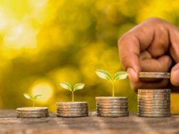 Startups do Agro impulsionam o crédito rural e transformam a vida no campo com soluções acessíveis e inovadoras