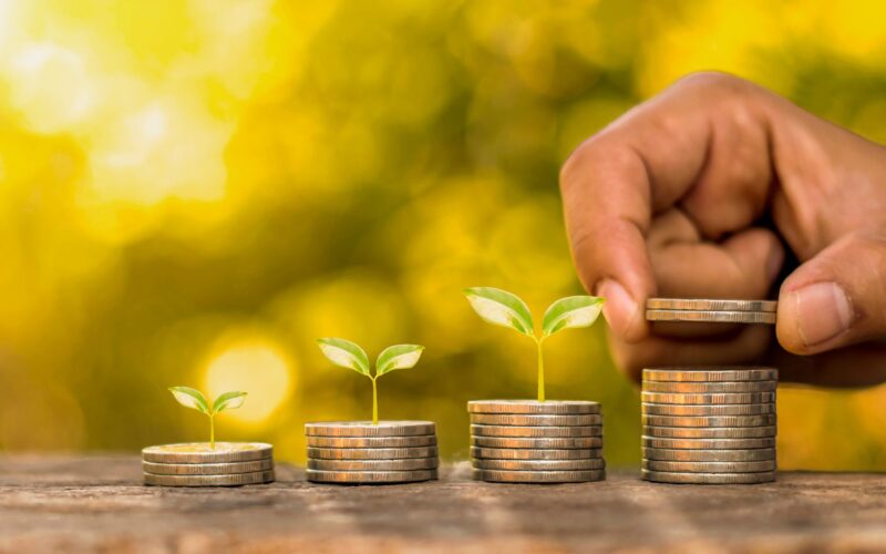 Startups do Agro impulsionam o crédito rural e transformam a vida no campo com soluções acessíveis e inovadoras