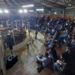 sucesso na feira do terneiro de sao joaquim 742 animais
