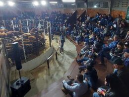 sucesso na feira do terneiro de sao joaquim 742 animais