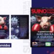 Suinocultura blindada pela biosseguridade garante saúde e produtividade superiores na criação de suínos.