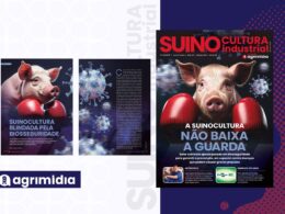 Suinocultura blindada pela biosseguridade garante saúde e produtividade superiores na criação de suínos. 18 Suinocultura blindada pela biosseguridade garante saúde e produtividade superiores na criação de suínos.