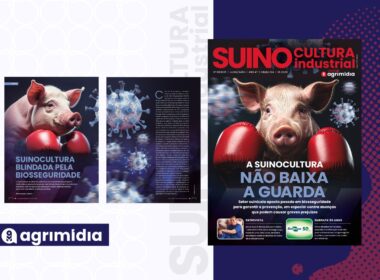Suinocultura blindada pela biosseguridade garante saúde e produtividade superiores na criação de suínos.