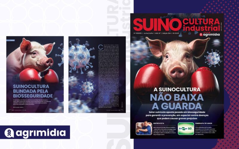 Suinocultura blindada pela biosseguridade garante saúde e produtividade superiores na criação de suínos.