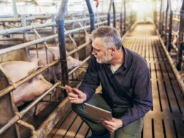 Suinocultura brasileira cresce com robustez, impulsionando mercado e aumentando a qualidade na mesa do consumidor. 11 Suinocultura brasileira cresce com robustez, impulsionando mercado e aumentando a qualidade na mesa do consumidor.