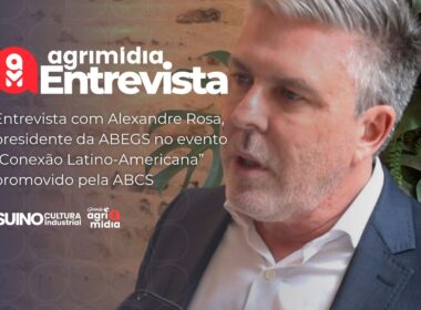 suinocultura em alta como a abegs pode impulsionar seu sucesso