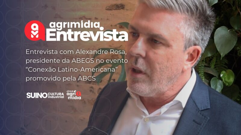 suinocultura em alta como a abegs pode impulsionar seu sucesso