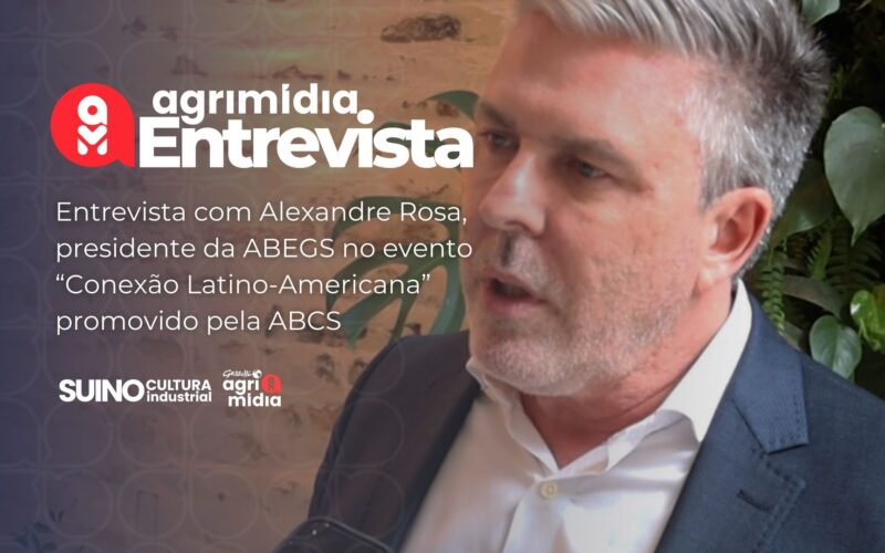 suinocultura em alta como a abegs pode impulsionar seu sucesso