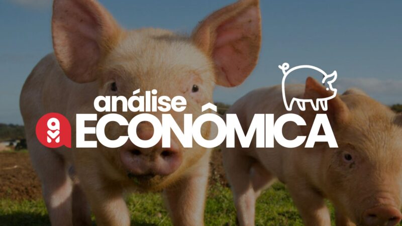 Suinocultura em alta: como o ajuste do mercado e o crescimento das exportações podem beneficiar seu negócio.