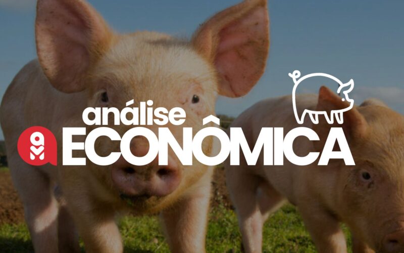 Suinocultura em alta: como o ajuste do mercado e o crescimento das exportações podem beneficiar seu negócio.