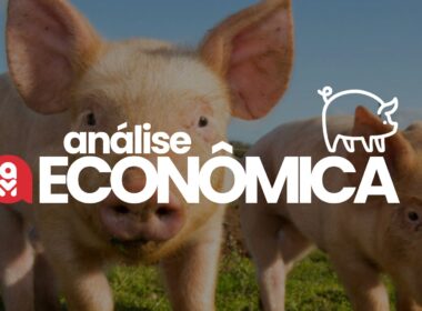 Suinocultura em alta garante recorde de exportações e impulsiona preços internos para lucros acelerados.