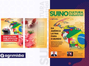 suinocultura na america latina impulsiona crescimento sustentavel e oportunidades de