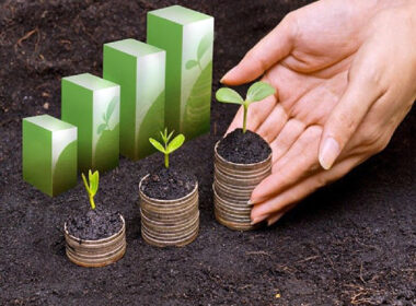surpreendente crescimento economico do brasil de 34 em 2024 descubra
