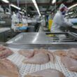 surpreendente crescimento exportacoes de carne de frango disparam 42 em