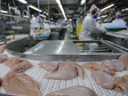 surpreendente crescimento exportacoes de carne de frango disparam 42 em