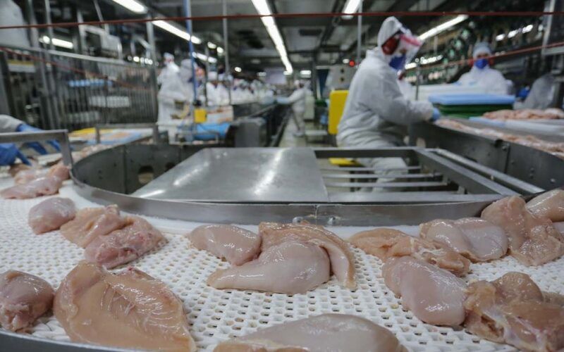 surpreendente crescimento exportacoes de carne de frango disparam 42 em