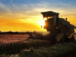 surpreendente parana revoluciona agricultura com aumento de 344 nos investimentos