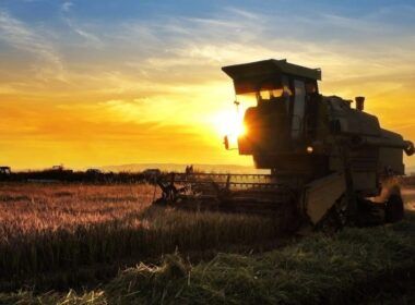 surpreendente parana revoluciona agricultura com aumento de 344 nos investimentos
