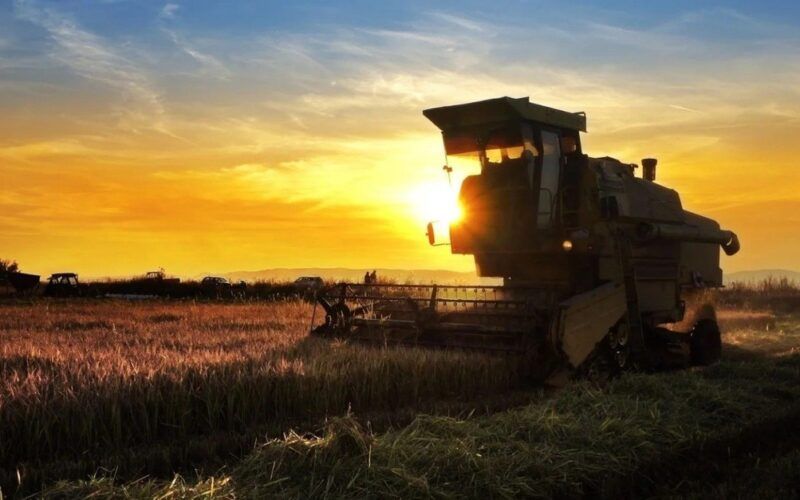surpreendente parana revoluciona agricultura com aumento de 344 nos investimentos