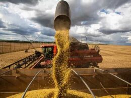 surpresas nas campos como a safra de 1717 milhoes de