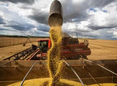 surpresas nas campos como a safra de 1717 milhoes de