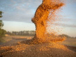 Tarifas da UE sobre grãos e soja prometem impactar mercados e abrir novas oportunidades para produtores brasileiros. 11 Tarifas da UE sobre grãos e soja prometem impactar mercados e abrir novas oportunidades para produtores brasileiros.