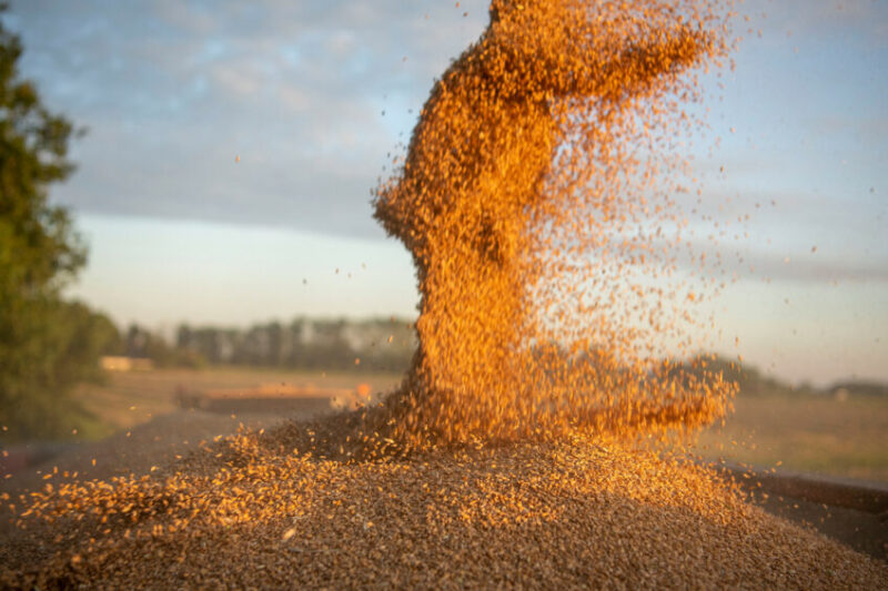 Tarifas da UE sobre grãos e soja prometem impactar mercados e abrir novas oportunidades para produtores brasileiros.