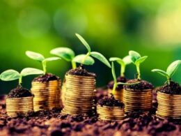 Tarifas de Trump elevam preços e podem impactar agricultura dos EUA: saiba como se preparar para os desafios econômicos 17 tarifas de trump elevam precos e podem impactar agricultura dos