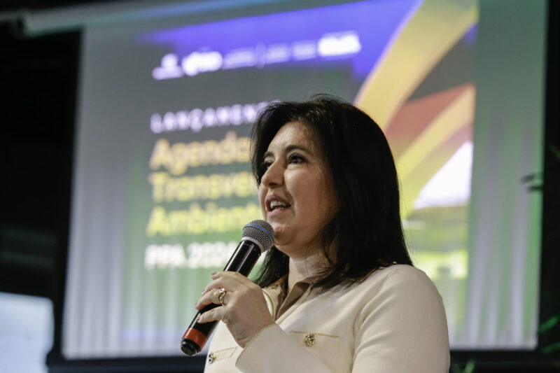 Tebet: etanol e terras raras são prioridades em negociações com os EUA.