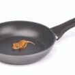 Tracing the History of Polymeric Materials: Teflon