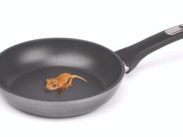 Tracing the History of Polymeric Materials: Teflon
