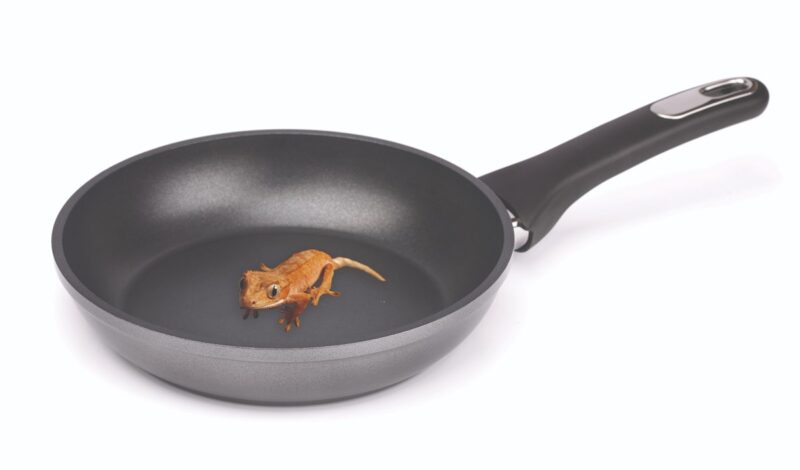 Tracing the History of Polymeric Materials: Teflon