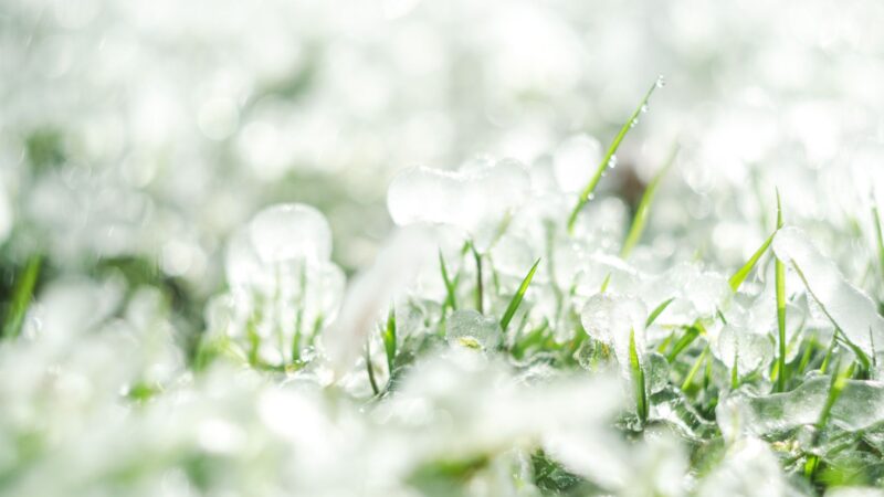 Tempestades com granizo podem impactar pastagens; descubra as áreas em risco e como se preparar melhor